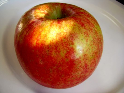 kiku apple