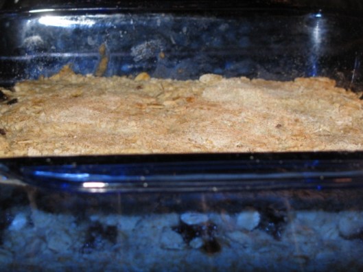 oatmeal jelly bars 4