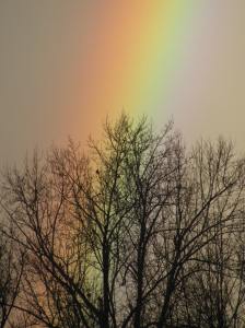 rainbow