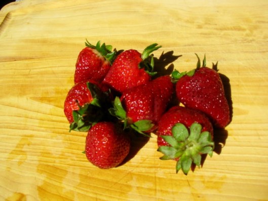 strawberry rhubarb soup sorbet 012 (640x480)
