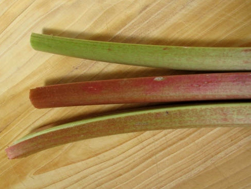 strawberry rhubarb soup sorbet 2 (491x369)