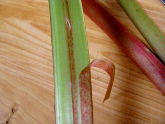 strawberry rhubarb soup sorbet 3 (640x480)