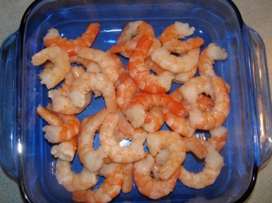 scampi 2