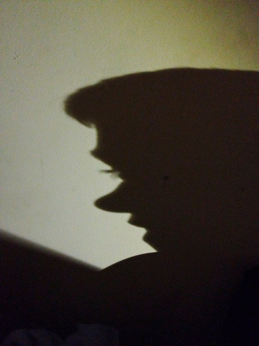 silhouette day life 3